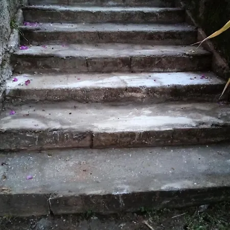 Appartement Casa Rita *